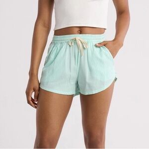 Billabong Turquoise Striped Pipe Line Shorts in Spearmint